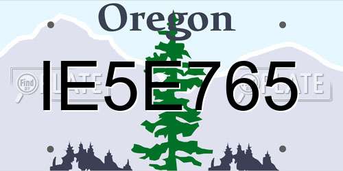 IE5E765 Oregon License Plate