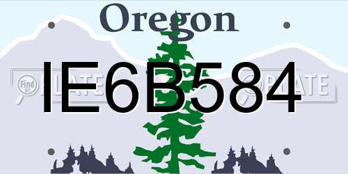 IE6B584 Oregon License Plate