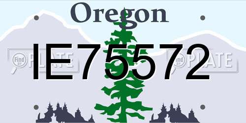 IE75572 Oregon License Plate