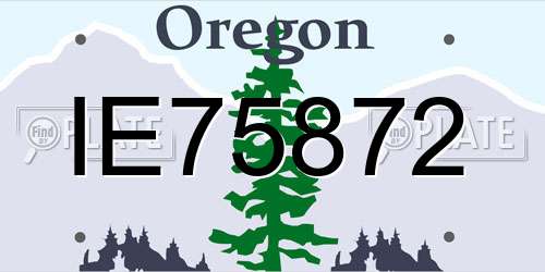 IE75872 Oregon License Plate