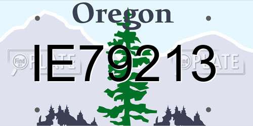 IE79213 Oregon License Plate