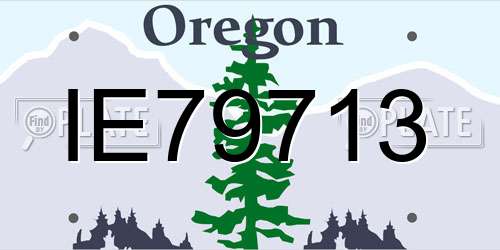 IE79713 Oregon License Plate