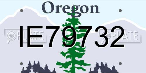 IE79732 Oregon License Plate