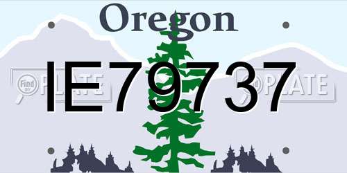 IE79737 Oregon License Plate