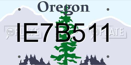 IE7B511 Oregon License Plate