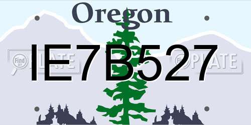 IE7B527 Oregon License Plate