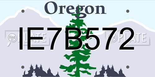 IE7B572 Oregon License Plate