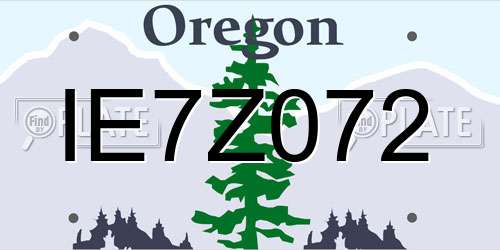 IE7Z072 Oregon License Plate