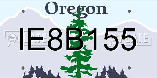 IE8B155 Oregon License Plate