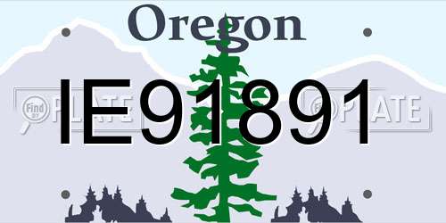 IE91891 Oregon License Plate