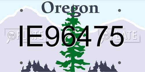IE96475 Oregon License Plate