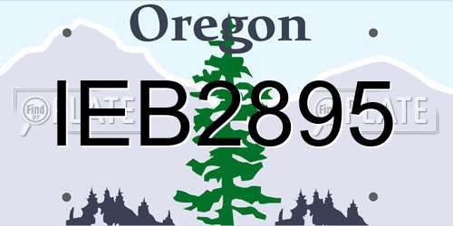 IEB2895 Oregon License Plate