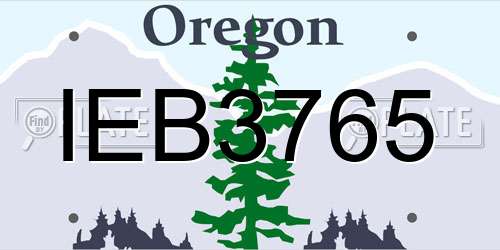 IEB3765 Oregon License Plate
