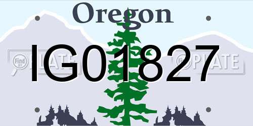 IG01827 Oregon License Plate
