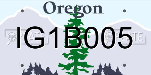 IG1B005 Oregon License Plate