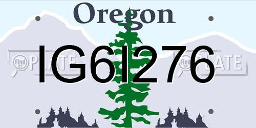IG6I276 Oregon License Plate