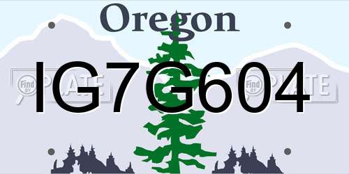 IG7G604 Oregon License Plate