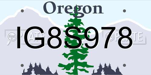 IG8S978 Oregon License Plate