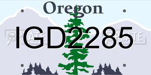 IGD2285 Oregon License Plate