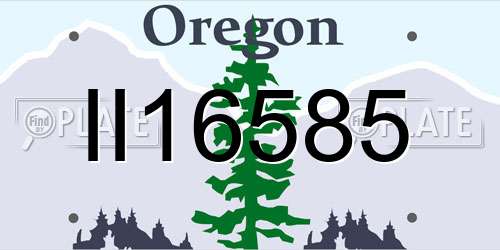 II16585 Oregon License Plate
