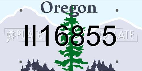 II16855 Oregon License Plate