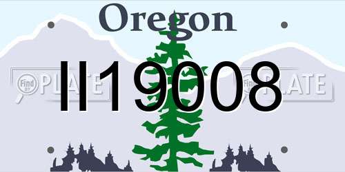 II19008 Oregon License Plate