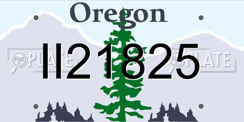 II21825 Oregon License Plate