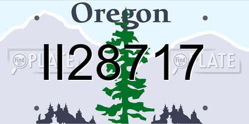 II28717 Oregon License Plate