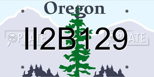 II2B129 Oregon License Plate
