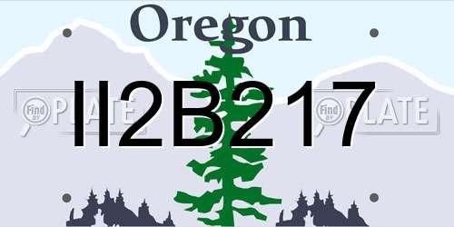 II2B217 Oregon License Plate