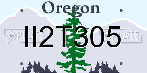II2T305 Oregon License Plate