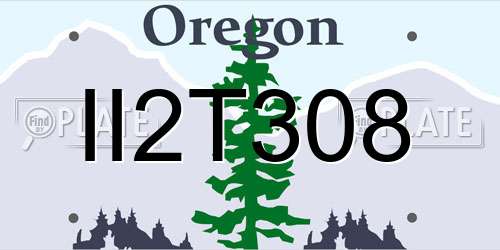 II2T308 Oregon License Plate