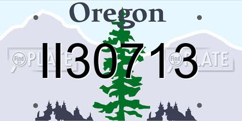 II30713 Oregon License Plate