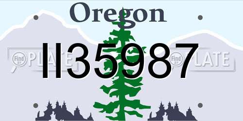 II35987 Oregon License Plate