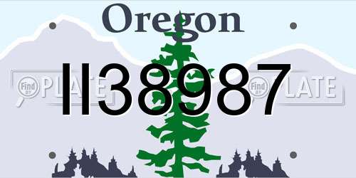 II38987 Oregon License Plate
