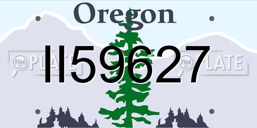 II59627 Oregon License Plate