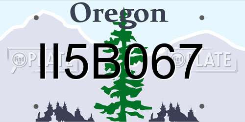 II5B067 Oregon License Plate