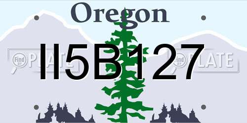II5B127 Oregon License Plate