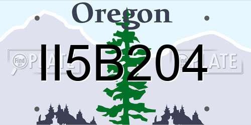 II5B204 Oregon License Plate