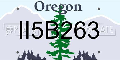 II5B263 Oregon License Plate