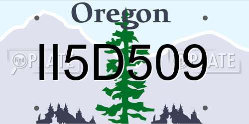 II5D509 Oregon License Plate