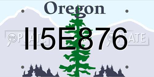II5E876 Oregon License Plate
