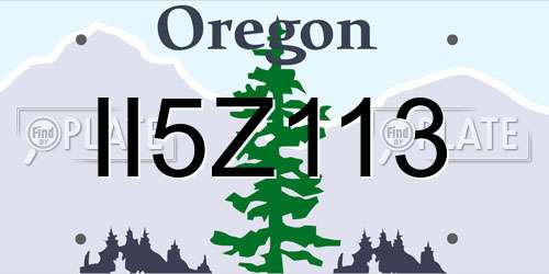 II5Z113 Oregon License Plate
