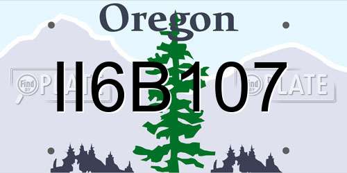 II6B107 Oregon License Plate