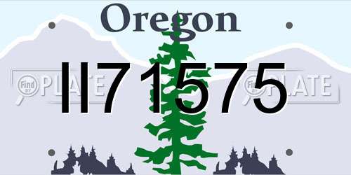 II71575 Oregon License Plate