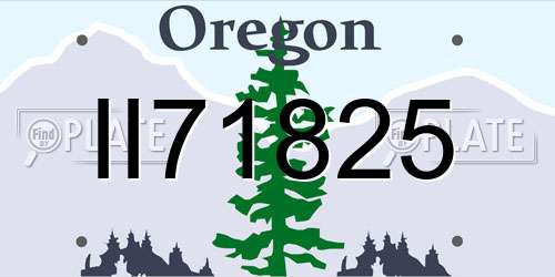 II71825 Oregon License Plate