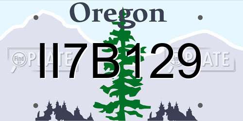 II7B129 Oregon License Plate