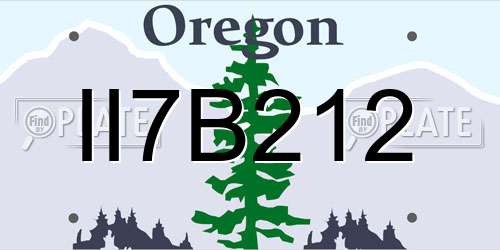II7B212 Oregon License Plate