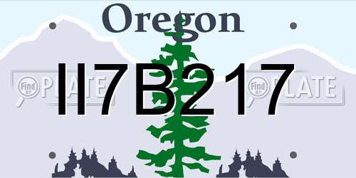 II7B217 Oregon License Plate