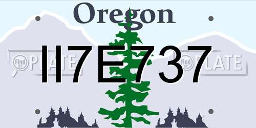 II7E737 Oregon License Plate
